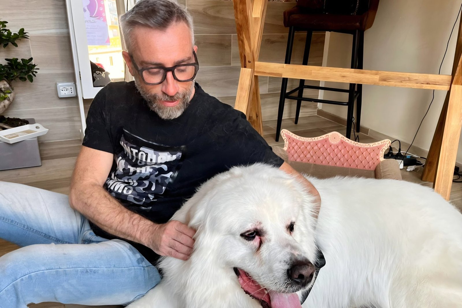 Felice in salone accanto a un cane bianco di taglia grande